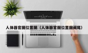 人体器官图位置图（人体器官图位置图阑尾）