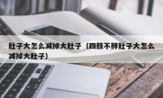 肚子大怎么减掉大肚子（四肢不胖肚子大怎么减掉大肚子）