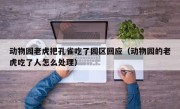 动物园老虎把孔雀吃了园区回应（动物园的老虎吃了人怎么处理）