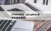 STRAYKIDS（straykids金宇珍退团原因）