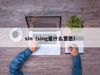 sin（sing是什么意思）