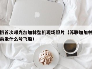 俄首次曝光加加林坠机现场照片（苏联加加林乘坐什么号飞船）