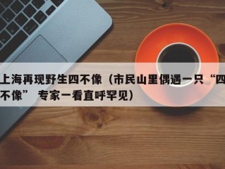 上海再现野生四不像（市民山里偶遇一只“四不像” 专家一看直呼罕见）