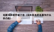 毛都没长就开被了包（没长出毛的毛囊为什么会凸起）