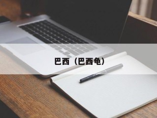 巴西（巴西龟）