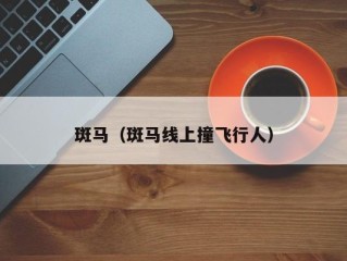 斑马（斑马线上撞飞行人）