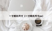 一寸照片尺寸（一寸照片尺寸px）