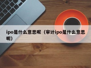 ipo是什么意思呢（审计ipo是什么意思呢）