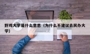 野鸡大学是什么意思（为什么不建议去民办大学）