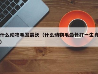 什么动物毛发最长（什么动物毛最长打一生肖）
