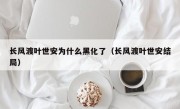 长风渡叶世安为什么黑化了（长风渡叶世安结局）