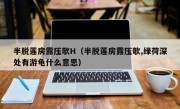 半脱莲房露压欹H（半脱莲房露压欹,绿荷深处有游龟什么意思）
