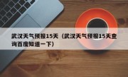 武汉天气预报15天（武汉天气预报15天查询百度知道一下）