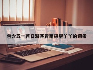 包含五一首日游客冒雨探望丫丫的词条