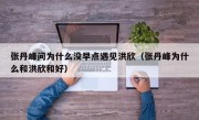 张丹峰问为什么没早点遇见洪欣（张丹峰为什么和洪欣和好）