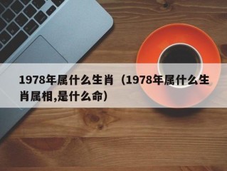 1978年属什么生肖（1978年属什么生肖属相,是什么命）