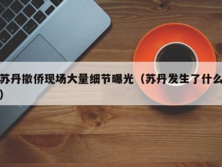 苏丹撤侨现场大量细节曝光（苏丹发生了什么）