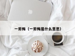 一剪梅（一剪梅是什么意思）