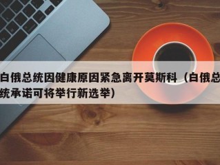 白俄总统因健康原因紧急离开莫斯科（白俄总统承诺可将举行新选举）