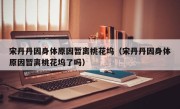 宋丹丹因身体原因暂离桃花坞（宋丹丹因身体原因暂离桃花坞了吗）