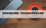 脚底疼痛部位图解（男性左脚底疼痛部位图解）