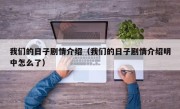 我们的日子剧情介绍（我们的日子剧情介绍明中怎么了）