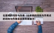 北柴胡的功效与作用（北柴胡的功效与作用点的功效与作用禁忌茯苓莱菔子）