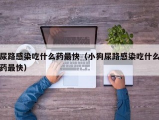 尿路感染吃什么药最快（小狗尿路感染吃什么药最快）