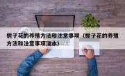 栀子花的养殖方法和注意事项（栀子花的养殖方法和注意事项浇水）