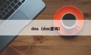 dns（dns查询）
