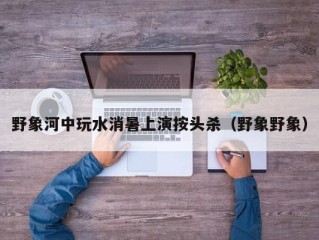 野象河中玩水消暑上演按头杀（野象野象）
