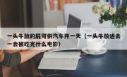 一头牛放的屁可供汽车开一天（一头牛放进去一会被吃完什么电影）