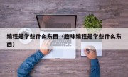 编程是学些什么东西（趣味编程是学些什么东西）