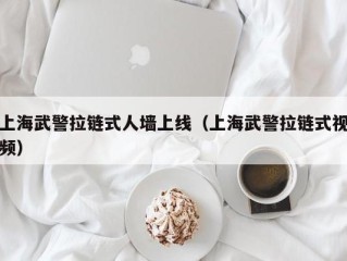 上海武警拉链式人墙上线（上海武警拉链式视频）