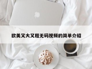 欧美又大又粗无码视频的简单介绍