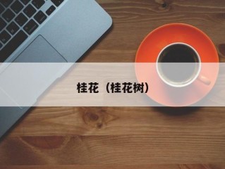 桂花（桂花树）