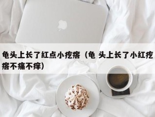 龟头上长了红点小疙瘩（龟 头上长了小红疙瘩不痛不痒）