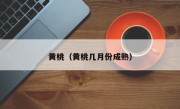 黄桃（黄桃几月份成熟）