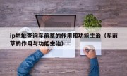 ip地址查询车前草的作用和功能主治（车前草的作用与功能主治）