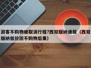 游客不购物被取消行程?西双版纳通报（西双版纳低价团不购物后果）