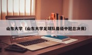山东大学（山东大学足球队晋级中冠总决赛）