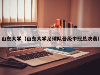 山东大学（山东大学足球队晋级中冠总决赛）