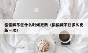 偷偷藏不住什么时候更新（偷偷藏不住多久更新一次）