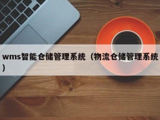 wms智能仓储管理系统（物流仓储管理系统）