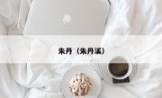 朱丹（朱丹溪）