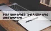 多国出现偏肺病毒感染（多国出现偏肺病毒感染尚无治疗药物m）