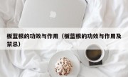 板蓝根的功效与作用（板蓝根的功效与作用及禁忌）
