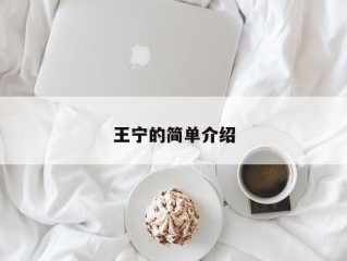 王宁的简单介绍