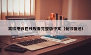 禁欲电影在线观看完整版中文（爱欲情迷）