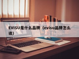 EVISU是什么品牌（evisu品牌怎么读）